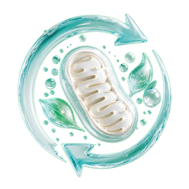 image of recovery and detox support kit